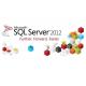 Faste Processor Server License Key Sql Server 2012 Standard License 1GB RAM