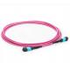 Multimode MM MPO MTP Trunk Cable OM1 OM2 OM4
