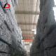 Hot/Cold Rolled ERW Square/Rectangular Hollow Section Dx51d Dx52D Z30 Z120 Galvanized Steel Pipe for Hydraulic/Automobile Pipe and Oil/Gas Drilling