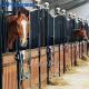 Farm Riding European Horse Stalls Custom Equine Barns 2.2m Height Assembly Easily