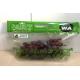 Custom Printing Fresh Fruit Bags Resealable Zipper Protection Antifog For Lettuce Packaging