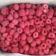 2020 Hot Sell IQF Raspberry Whole 95/5