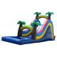 Blue  Inflatable Large Water Slide For Kids Coconut Tree Type