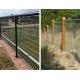 Standard Export Dimension Welded Wire Mesh Fence Black Colour