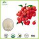 Wholesale Chinese Factory Supplied Fruit Litchi Powder