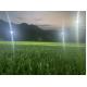 55mm Height Artificial Grass Turf Football Synthetic Grass Wear Resistant