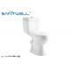 White Two piece toilet 685*350*750 mm Size living room NR121 , Free Standing Toilet