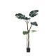 OEM ODM Indoor Artificial House Plants Eco Friendly  Hassle Free Non Toxic