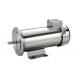 Stainless steel NEMA 56C 12V&24V washdown DC motor