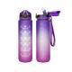 Frosted Borosilicate Glass Water Bottle