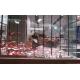 Glass Shop Advertising P3.91-7.82 Pantalla  Transparent LED Display Screen