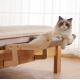 Hanging Cat Bed With Stand Mount Hammock Window Seat Bed Shelves For Indoor Cats