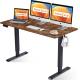 Anti-collision System Wooden Electric Height Adjustable Desk with Dual Motor 1200mm Length