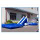 Large Inflatable Water Slide with Pool for Commercial Use (CY-M2139)