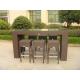 Outdoor Leisure Furniture Sets , Fashion Resin Wicker Bar Set