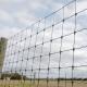 High Strength Galvanized Fixed Knot Cattle Fence Metal Iron