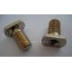 T screw,SS,Iron,alloy,copper,size and plating as per drawing or request.