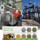 100kg To 10 Ton Pellet Mill Machine Animal Feed Pellet Production Line Biomass Fuel