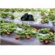 Black/ Silver Color Agricultural Film Plastic Mulch Film For Agricultural &