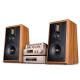 100W Wireless Bookshelf Speakers with High Density Audio Crossover in Modern Style