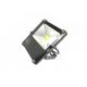 RGB 30W Spot Light AC100-277V Floodlight Fixtures for Park and Garden