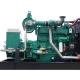 Lightweight Biogas Electricity Generator Customized Power Output