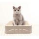 Eco Friendly Cat Litter Box Biodegradable Molded Paper Disposable Self Cleaning Cat Box