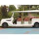 11 Person Electric Classic Golf Cart 48 Volt Lithium Battery ODM