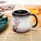 Ceramic Color Changing Mug Birthday Gifts for Men Women Heat Changing Coffee Mug
