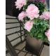 Metal Floral Display Rack In Superemarket And Store BSCI Certification