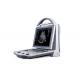 Full Digital Color Doppler Machine Ultrasound Scanner With 10.4 Inch Angle Adjustable Monitor