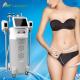 Fat Freezing Weight Loss Cryolipolysis slimming beauty machine with 5 handles