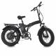 20inch Folding Electric Assist Bike 36V 350W with Lithium Battery