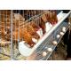 Egg Layer Chicken Battery Cage , Farm Laying Hens Poultry Layer Cage System