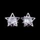 One Pair Silver Color Star Zircon Earrings , Female Engagement Jewelry