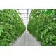 Agriculture Commercial Hydroponic Greenhouse Span Width 6 / 8 / 10m Snow Load 0.45KN/M2