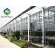 5mm Tempered Glass Hydroponic Grow Systems Greenhouse