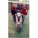 60KM/H Three Wheel Cargo Motorcycle 200CC 250CC 300CC Front Shock