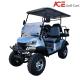 Blue Colors Electric Golf Car With Bluetooth Audio 4 Wheel Electric Club Car