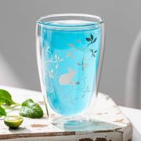 12 Ounce Double Wall Drinking Glass 340ml Borosilicate Glass Insulated Tumbler