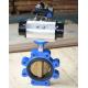 Customized DN300 Cast Ductile Iron Carbon Steel Fully Lug Wafer Type Butterfly Valve