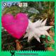 Pink Inflatable Heart With LED light For Event Hanging Decoration,White Inflatable Star