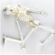 Accurate Biology Human Body Skeleton Model 85CM Hanging Educational