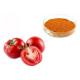 6% 10% 20% Lycopene 502-65-8 Dehydrated Tomato Fruit Extract