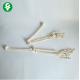 2.0 Kg Human Joints Model / Life Size Extremity Upper Limb Model Left And Right