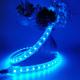 83.3mm Cutting SMD2835 Outdoor Led Strip Light 12W/M PVC