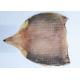 Raw Material  Whole Dried Squid Body  For Fresh Roasted Squid No Starch