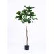 Evergreen Artificial Ficus Tree Longlife Anti UV For Public Area Decoration