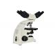 UOP UB104i Multi Viewing Microscope Edu Science Dual Viewer Microscope