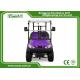 Purple Electric Golf Car 2 Passenger Electric Golf Carts Trojan Battery